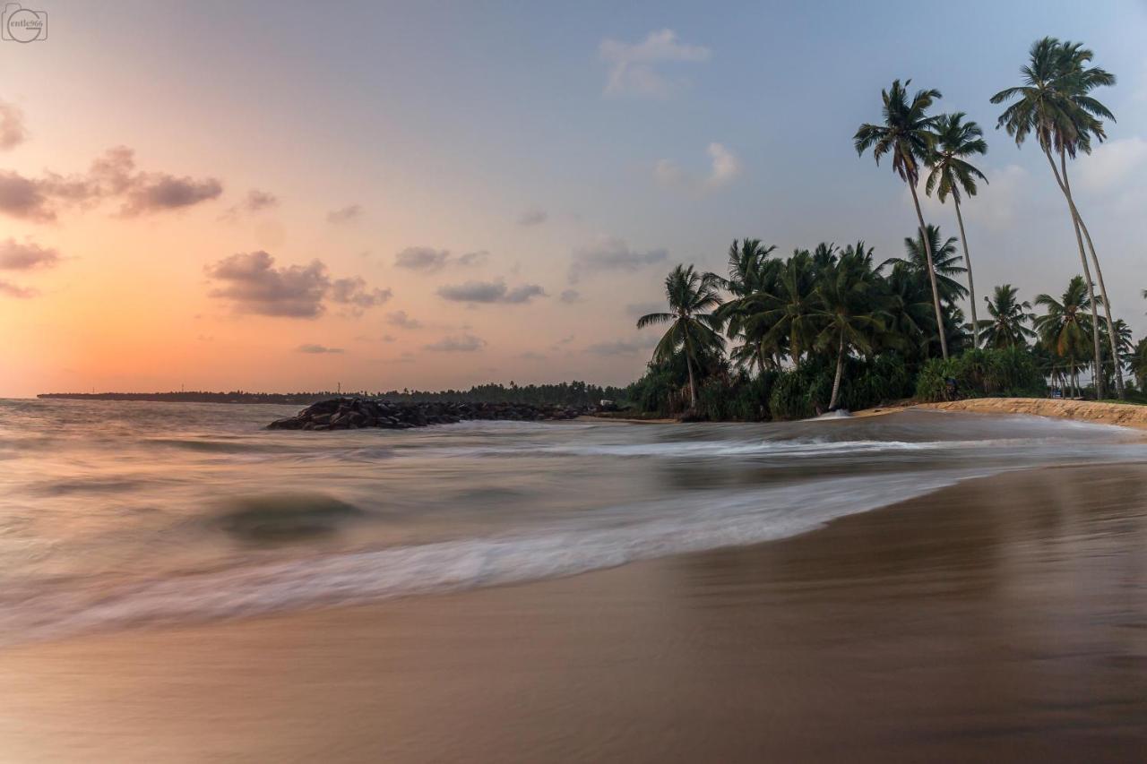 Maresia Beach Villa Wadduwa Exterior photo